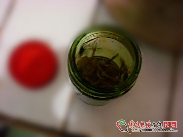 美食达人 泡椒藕丁的做法